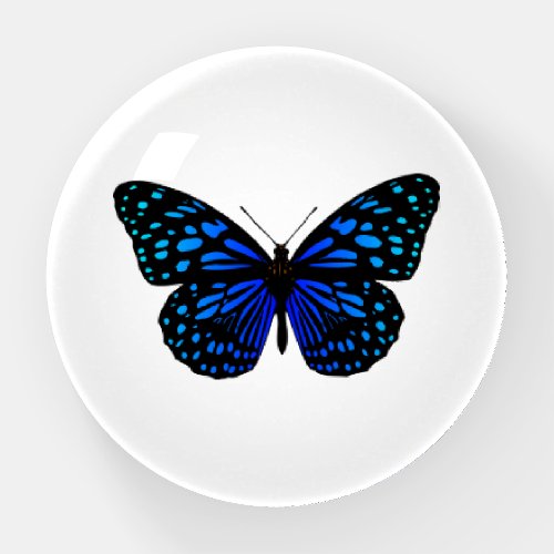 Blue Butterfly Paperweight
