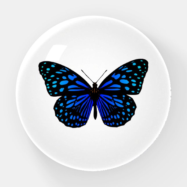 Blue Butterfly Paperweight (Front)