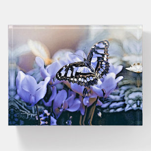 Blue Butterfly Paperweight