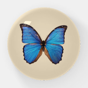Blue Butterfly Paperweight