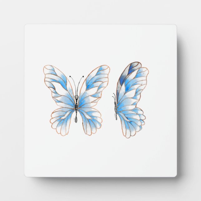 Blue Butterfly Plaque (Front)
