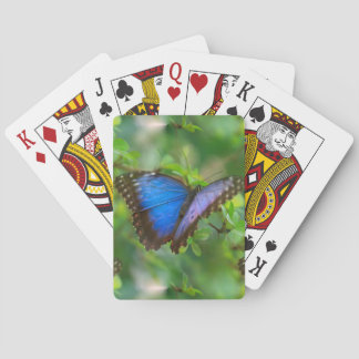 Blue Butterfly Poker Cards