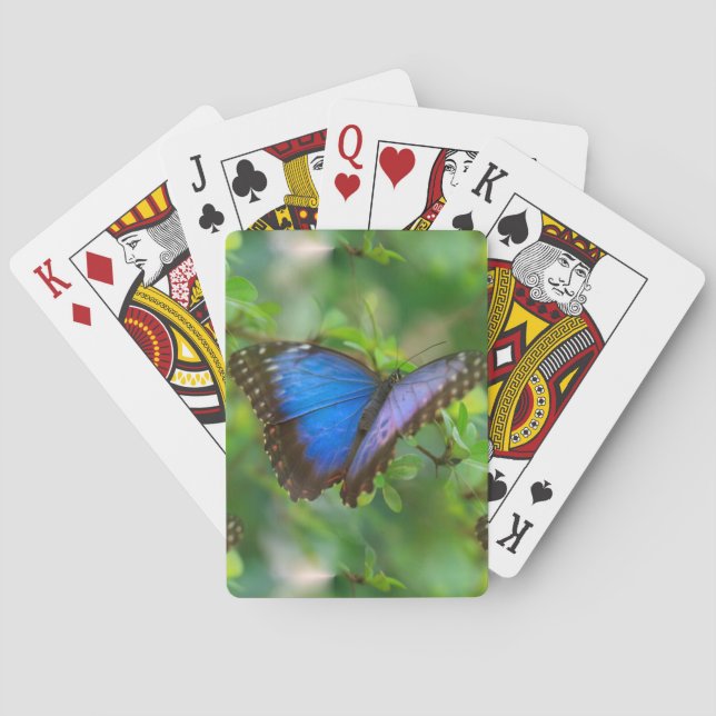 Blue Butterfly Poker Cards (Back)