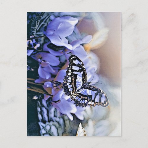 Blue Butterfly Postcard