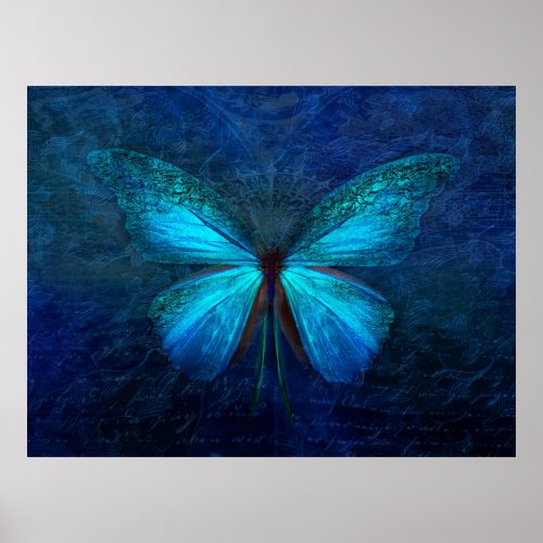 Blue Butterfly Poster