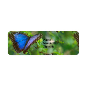 Blue Butterfly Return Address Labels
