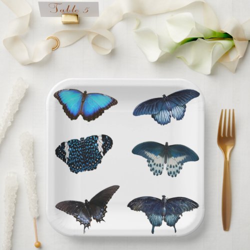 Blue Butterflys paper plates