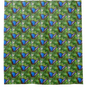 Blue Butterfly Shower Curtain
