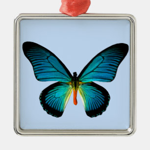 Blue Butterfly Square Ornament