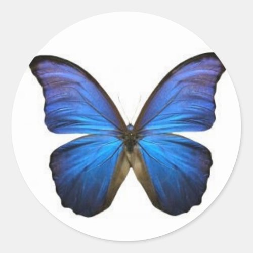 Blue Butterfly Stickers