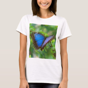 Blue Butterfly T-Shirt