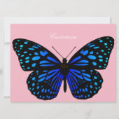 Blue butterfly Thunder_Cove (Front)