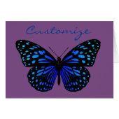 blue butterfly Thunder_Cove (Front Horizontal)