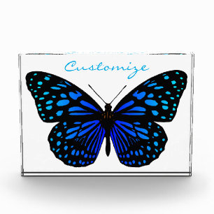 Blue butterfly Thunder_Cove Acrylic Award