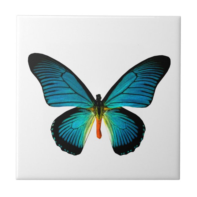 Blue Butterfly Tile (Front)