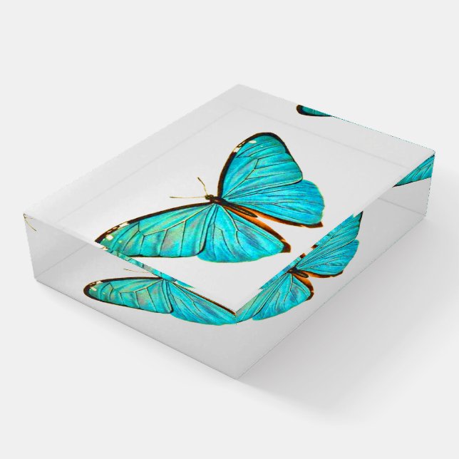 Blue Butterfly Wildlife Insects Paperweight (Angled)
