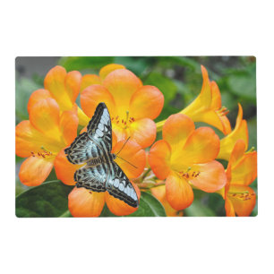 Blue butterfly with Tropical Rhododendron Placemat
