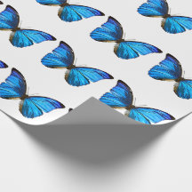 Blue Butterfly Wrapping Paper