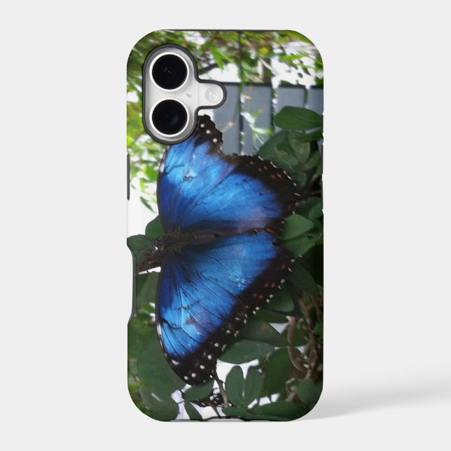BLUE BUTTERLY IPHONE CASE (Back)