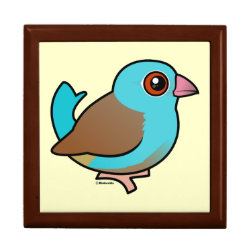 Blue-capped Cordonbleu Large 7.125