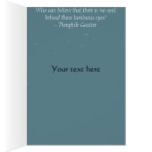 Blue cat (Inside (Right))