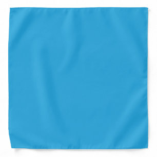 Blue Cat Bandana Cute Pet Lover Style