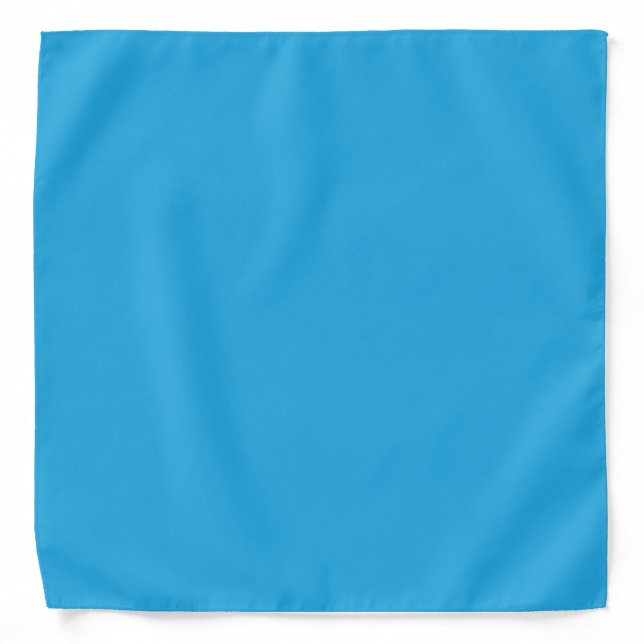 Blue Cat Bandana Cute Pet Lover Style (Front)