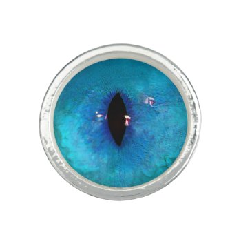 Blue Cat Eye Ring by WhaddyaThinkOfThat at Zazzle