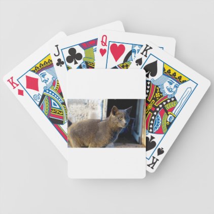 Blue Cat Focus Bicycle Playing Cards