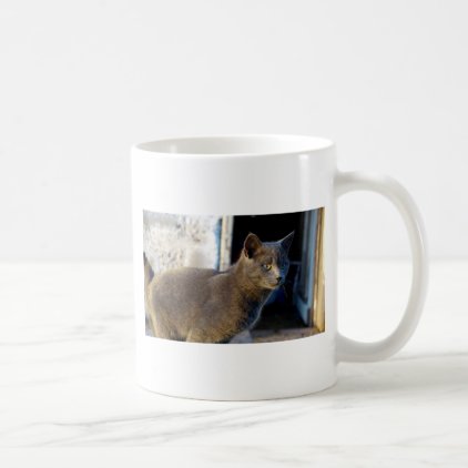 Blue Cat Focus Coffee Mug