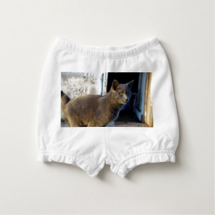 Blue Cat Focus Diaper Cover