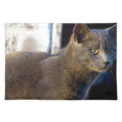 Blue Cat Focus Placemat