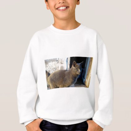 Blue Cat Focus Sweatshirt