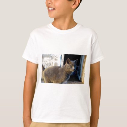 Blue Cat Focus T-Shirt