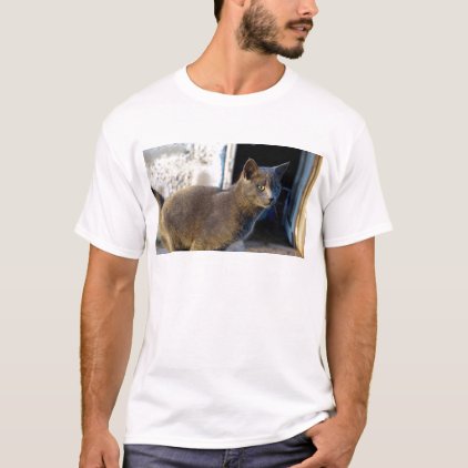 Blue Cat Focus T-Shirt