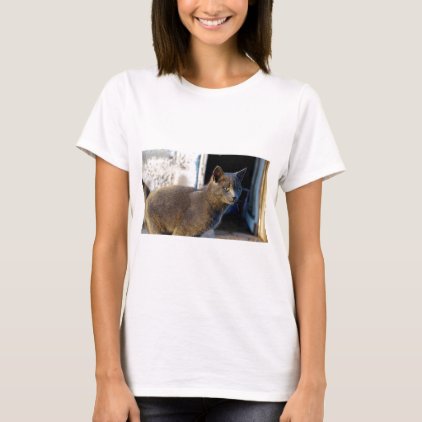 Blue Cat Focus T-Shirt