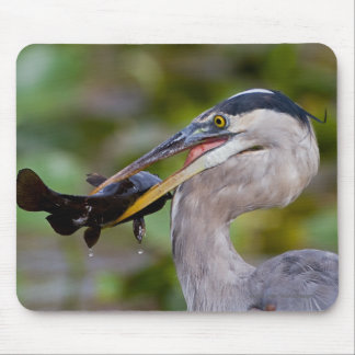 Blue Catfish Mouse Pad