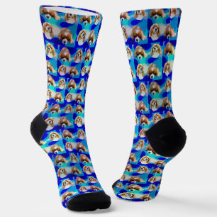 Blue Cavalier Spaniel, Crew Socks
