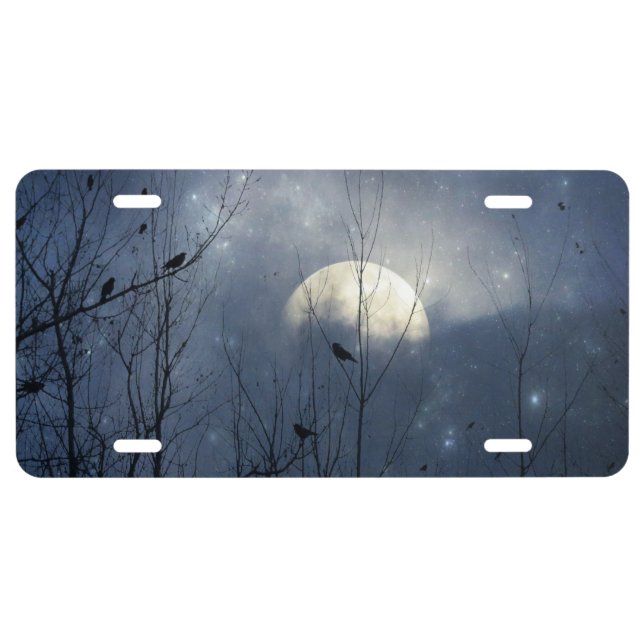 Blue Celestial Dream License Plate (Front)