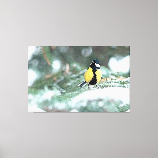Blue Chickadee On Green Spruce Tree Canvas Print (Front)