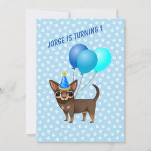 Blue Chihuahua First Birthday Innvitations Invitation