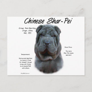 Blue Chinese Shar Pei History, Sharpei, Shar-pei Postcard