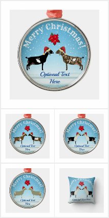 Blue Christmas Dairy Goats in the Snow