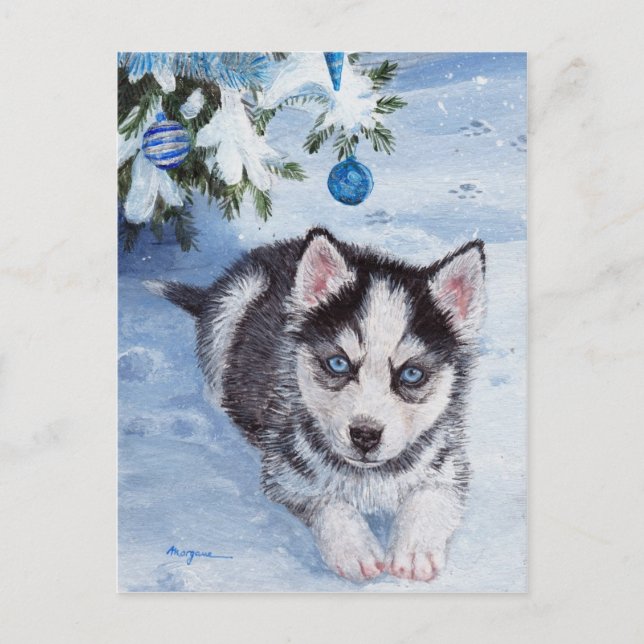Blue Christmas husky dog pup Xmas postcard (Front)