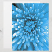 Blue Chrysanthemum (Front/Back)