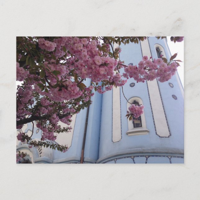 Blue Church + Blossom Postcard (Front)