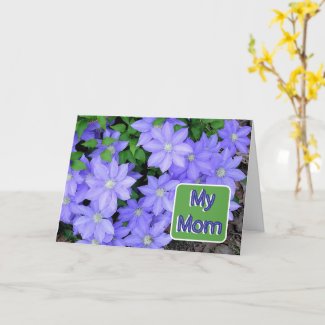 BLUE CLEMATIS/MY MOM/HAPPY MOTHER'S DAY