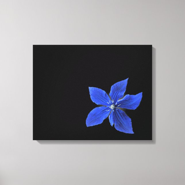 Blue Clematis on Black Wrapped Canvas Print (Front)