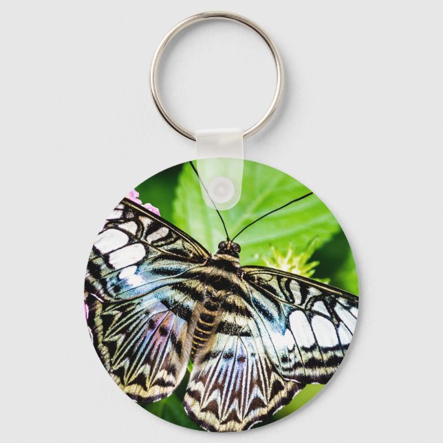 Blue Clipper Butterfly Button Keychain (Front)