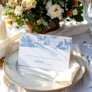 Blue Coastal Toile Wedding Place Cards